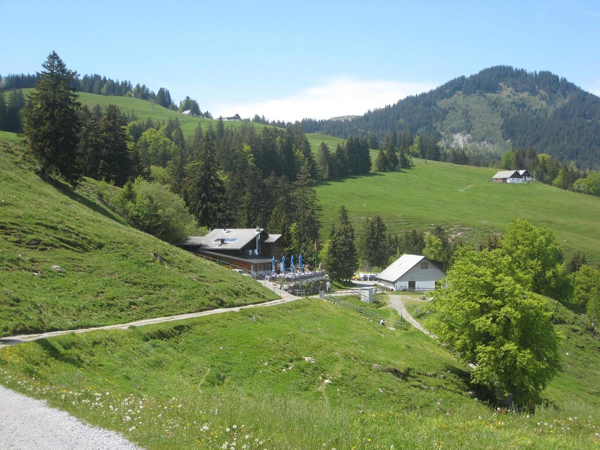 Отель Montlinger Schwamm Oberriet Экстерьер фото